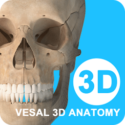 维萨里3D解剖v5.3.2