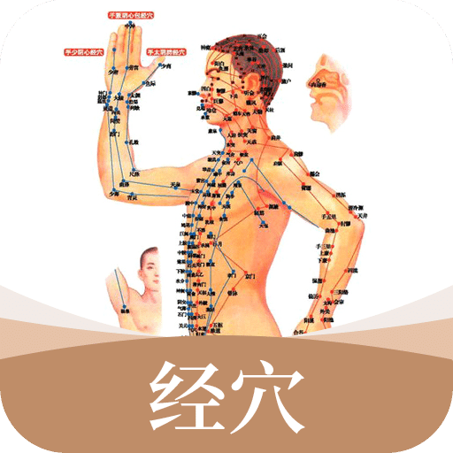 经络穴位