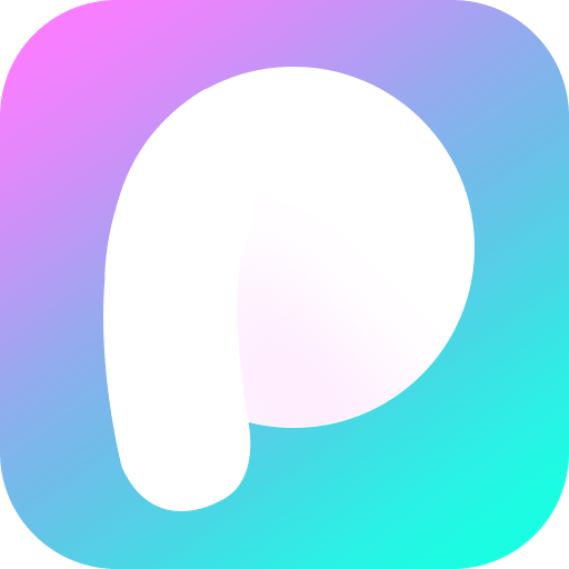 P图v2.3.6