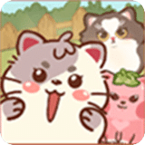 滑行猫咪