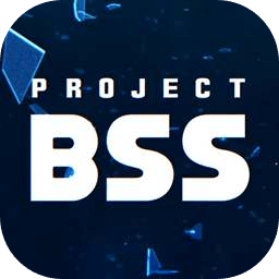 Project BSS