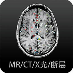 影像解剖图谱