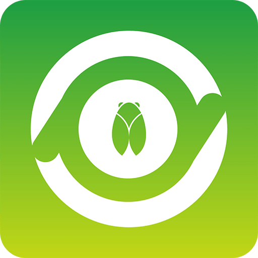 村知了-发现家乡的美好