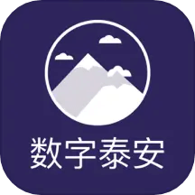 数字泰安