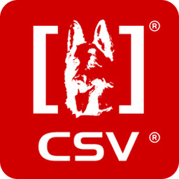 CSV