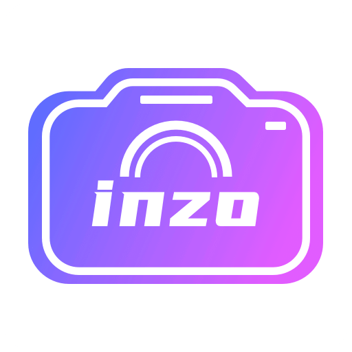 inzolv1.1