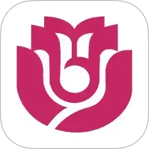 效率通