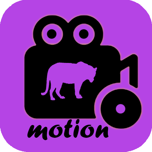 motion