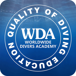 WDA ASIA