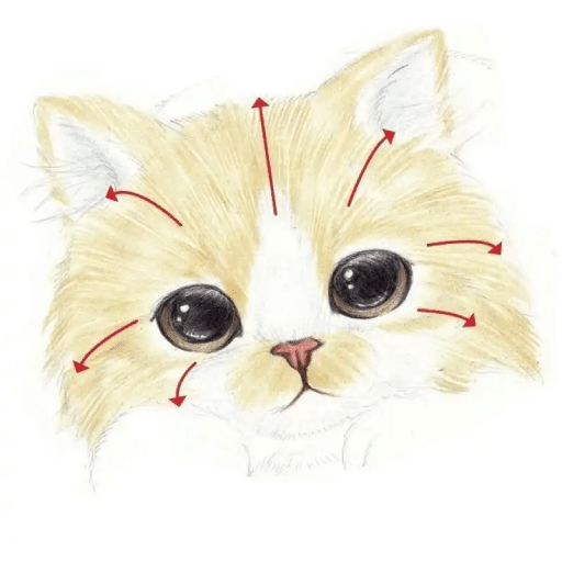 色猫绘画
