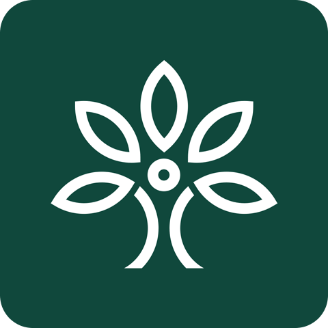 花枝鲜花