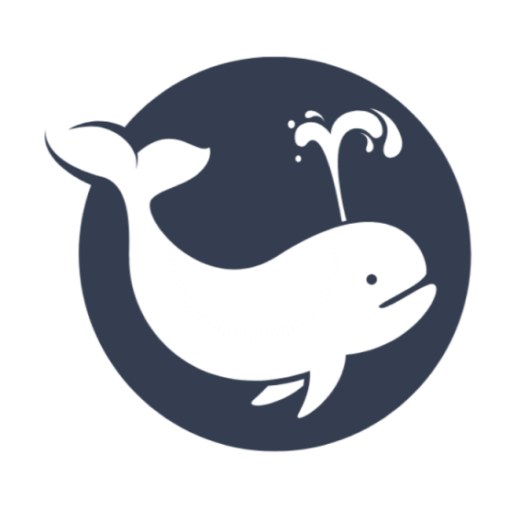 白鲸加速器-海外华人加速器