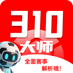 310大师