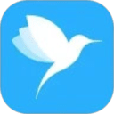 彩虹鸟-附近彩虹在等你