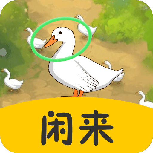 闲来