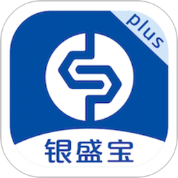 银盛宝Plus