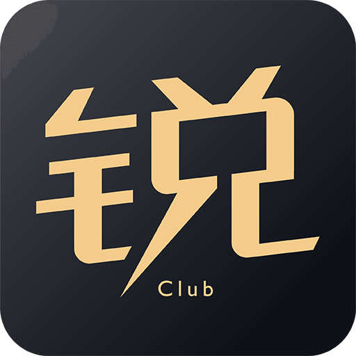 锐胜汽车