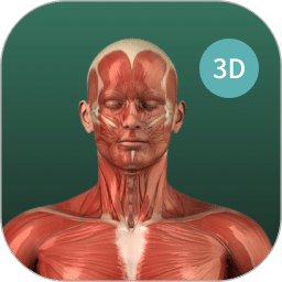 3d解剖