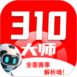 310大师