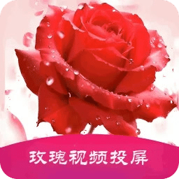 玫瑰
