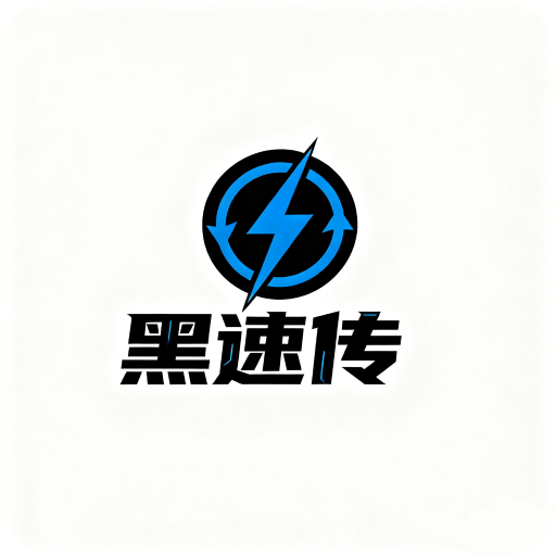 黑速传