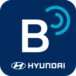 Bluelink