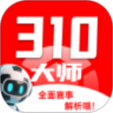 310大师