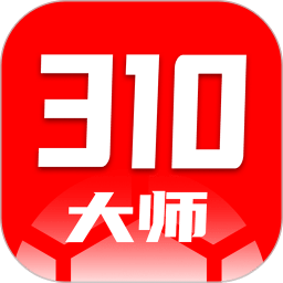310大师