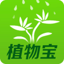 植物宝
