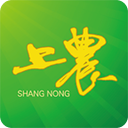 上农