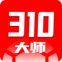 310大师