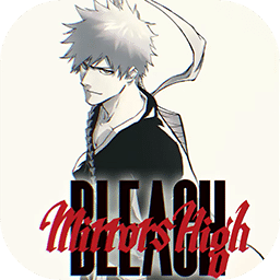 BLEACH Mirrors High