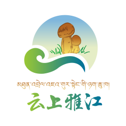 云上雅江