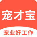 宠才宝