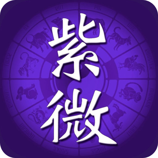 紫微斗数排盘
