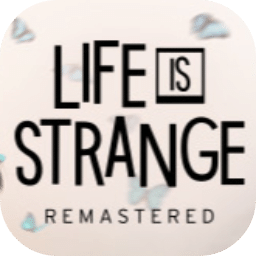 奇异人生重制版