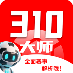 310大师