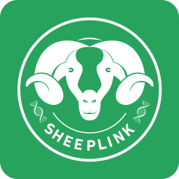 SheepLink