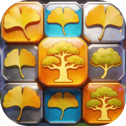 优美银杏树合集