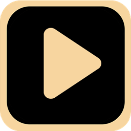 伊人视频播放器