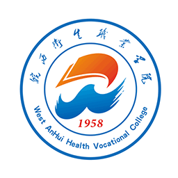智慧皖卫