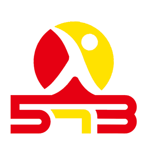 聘到嘉