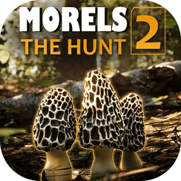 羊肚菌：狩猎2