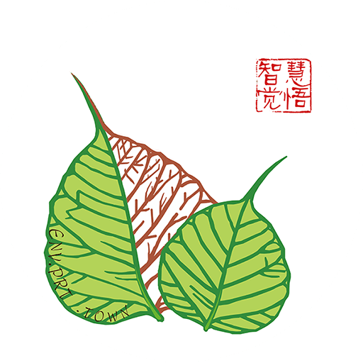 华膜商城