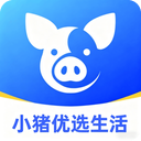 小猪优选生活