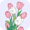数字画画