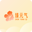 臻元气