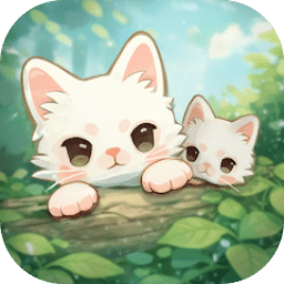 窗外的猫