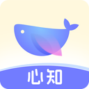 心知