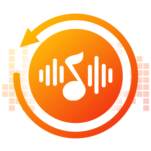 Viwoo音频格式转换器